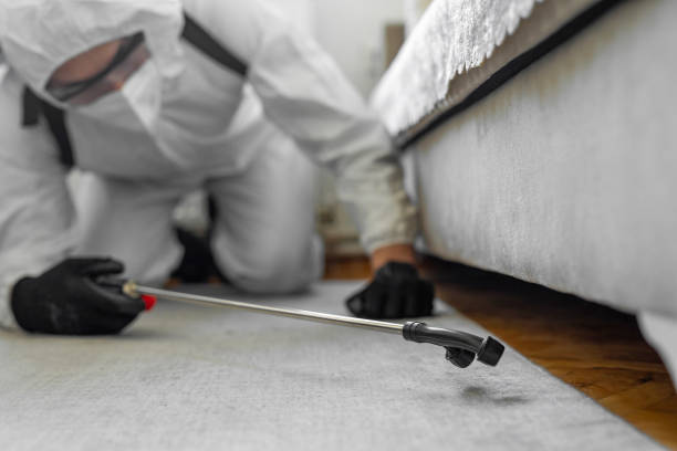 Professional Bed Bug Control technician working in New Paris, OH