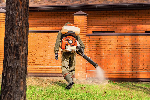 Trusted Emergency Pest Control service in New Paris, OH - Nex Pest Control